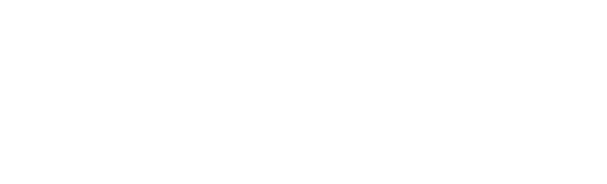 Linda Okun Wildlife Photography